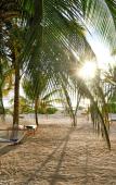 Туры в отель Sharazad Boutique Hotel Туры в отель Sharazad Boutique Hotel