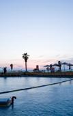 Туры в отель Dan Panorama Tel Aviv Туры в отель Dan Panorama Tel Aviv
