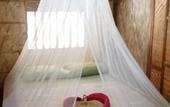Туры в отель Amami Beach Resort Туры в отель Amami Beach Resort