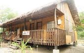 Туры в отель Amami Beach Resort Туры в отель Amami Beach Resort
