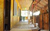 Туры в отель Amami Beach Resort Туры в отель Amami Beach Resort