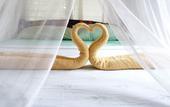 Туры в отель Amami Beach Resort Туры в отель Amami Beach Resort