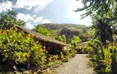 Туры в отель Amami Beach Resort Туры в отель Amami Beach Resort