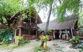 Туры в отель Amami Beach Resort Туры в отель Amami Beach Resort