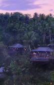 Туры в отель Capella Ubud Туры в отель Capella Ubud