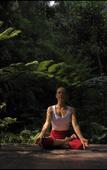 Туры в отель Capella Ubud Туры в отель Capella Ubud