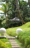 Туры в отель Capella Ubud Туры в отель Capella Ubud