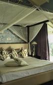 Туры в отель Lotus Villa Туры в отель Lotus Villa