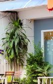Туры в отель Sleep at Phuket Туры в отель Sleep at Phuket