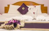 Туры в отель Belvedere Guesthouse Туры в отель Belvedere Guesthouse