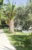 Туры в отель Hanedan Beach Hotel (Foca) Туры в отель Hanedan Beach Hotel (Foca)
