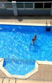 Туры в отель Ialysos City Hotel Туры в отель Ialysos City Hotel