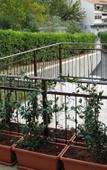 Туры в отель Hotel Keltika Туры в отель Hotel Keltika