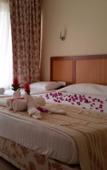 Туры в отель Odile Hotel Туры в отель Odile Hotel