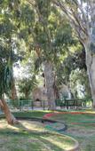Туры в отель Park Туры в отель Park
