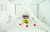 Туры в отель Makuti Beach Bungalows Туры в отель Makuti Beach Bungalows
