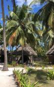 Туры в отель Big Blu Mafia Island Diving Centre Туры в отель Big Blu Mafia Island Diving Centre