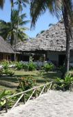 Туры в отель Big Blu Mafia Island Diving Centre Туры в отель Big Blu Mafia Island Diving Centre