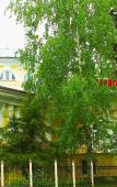 Туры в отель Кисловодская клиника ФГБУ ПГНИИК ФМБА России Туры в отель Кисловодская клиника ФГБУ ПГНИИК ФМБА России