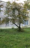 Туры в отель Дружба детский санаторно-оздоровительный лагерь Туры в отель Дружба детский санаторно-оздоровительный лагерь