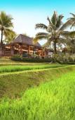 Туры в отель Chapung Sebali Resort & Spa Туры в отель Chapung Sebali Resort & Spa