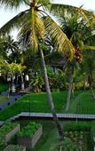 Туры в отель Chapung Sebali Resort & Spa Туры в отель Chapung Sebali Resort & Spa