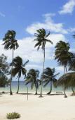 Туры в отель Maars Resort Туры в отель Maars Resort