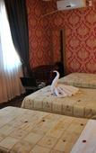 Туры в отель Hotel Star Park Туры в отель Hotel Star Park