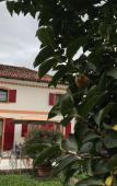 Туры в отель Agriturismo Ca Tessera Туры в отель Agriturismo Ca Tessera