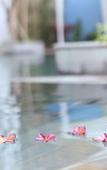 Туры в отель The Frangipani Living Arts Hotel & Spa Туры в отель The Frangipani Living Arts Hotel & Spa