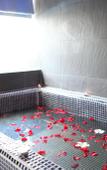 Туры в отель The Frangipani Living Arts Hotel & Spa Туры в отель The Frangipani Living Arts Hotel & Spa