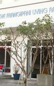 Туры в отель The Frangipani Living Arts Hotel & Spa Туры в отель The Frangipani Living Arts Hotel & Spa