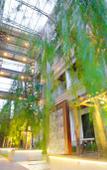 Туры в отель New Siam Palace Ville Туры в отель New Siam Palace Ville