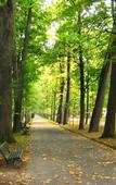 Туры в отель Agat Sanatorium Туры в отель Agat Sanatorium