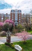 Туры в отель Washington Marriott Wardman Park Туры в отель Washington Marriott Wardman Park