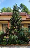 Туры в отель Homestead Phu Quoc Resort Туры в отель Homestead Phu Quoc Resort