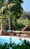 Туры в отель Villa Olive Grove Туры в отель Villa Olive Grove