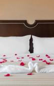 Туры в отель Omni Severin Hotel Туры в отель Omni Severin Hotel