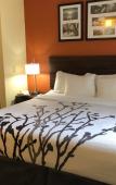 Туры в отель Sleep Inn Sarasota Туры в отель Sleep Inn Sarasota