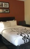 Туры в отель Sleep Inn Sarasota Туры в отель Sleep Inn Sarasota