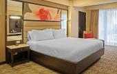 Туры в отель Hilton Garden Inn Guatemala City Туры в отель Hilton Garden Inn Guatemala City