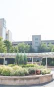 Туры в отель DoubleTree by Hilton Charlotte Gateway Village Туры в отель DoubleTree by Hilton Charlotte Gateway Village