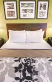 Туры в отель Sleep Inn at North Scottsdale Road Туры в отель Sleep Inn at North Scottsdale Road