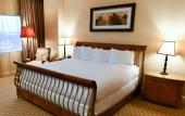 Туры в отель Hilton Dallas Lincoln Centre Туры в отель Hilton Dallas Lincoln Centre