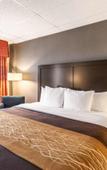 Туры в отель Comfort Inn Ballston Туры в отель Comfort Inn Ballston