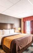 Туры в отель Comfort Inn Ballston Туры в отель Comfort Inn Ballston