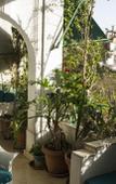 Туры в отель Horus House Туры в отель Horus House