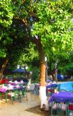 Туры в отель Blue Sea Garden Туры в отель Blue Sea Garden