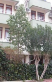 Туры в отель Villa Begumhan Туры в отель Villa Begumhan