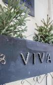 Туры в отель Viva Boutique Hotel Туры в отель Viva Boutique Hotel